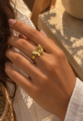 Flutter Ring