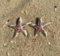 Tiny Pink Starfish Earrings